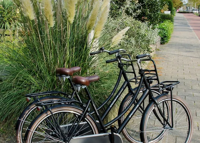 Beauvilliers * Zandvoort