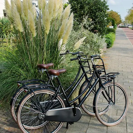 Beauvilliers * Zandvoort